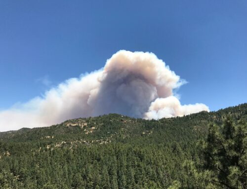 Fire Season Update
