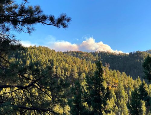 Resiliency and Mitigation Council | DIFI