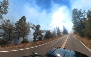 Prescribed Burn