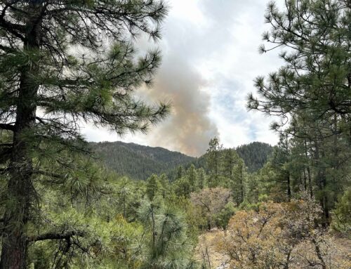 Fire Season Is Here