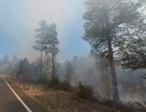 Pile Burning Planned in the Prescott Basin on the Bradshaw RD